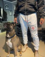 Paradox Eşofman - Görsel 2